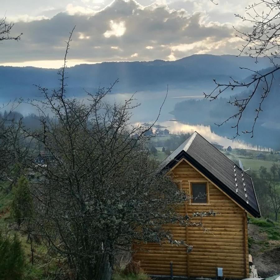 Vila Bella, Tara, Zaovinsko Jezero Villa Zaovine Exterior photo